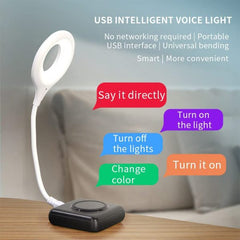 Voice Lamp