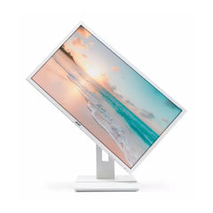 Acer Monitor 24" B246HL